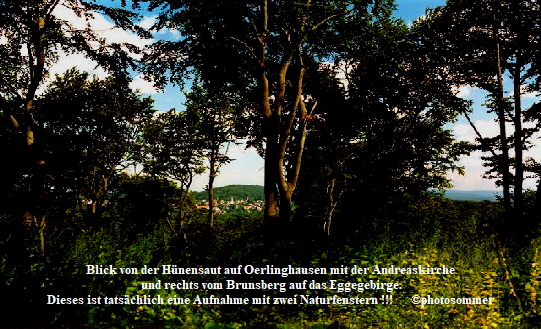 Hnensaut Blick auf Oerlinghausen + re. Senne