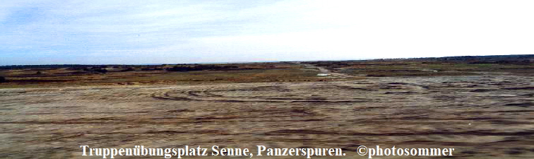 Truppenbungsplatz Senne, Panzerspuren.   photosommer