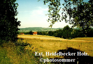 EXTHeidelbecker Holz