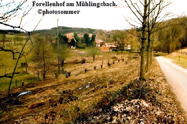 Forellenhof Mhlingsbach