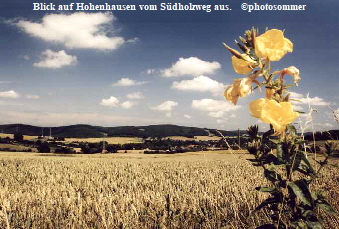 Blick auf Hohenhausen vom Sdholzweg aus.   photosommer