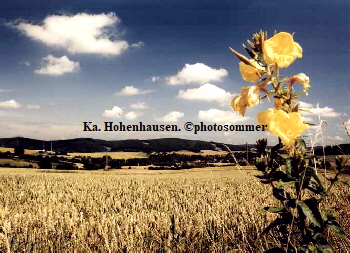 Hohenhausen102