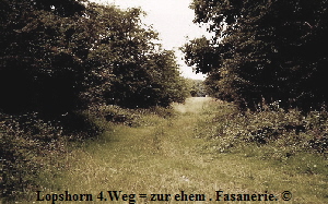 a_Lopshorn_4er_Weg_Fasanerei_