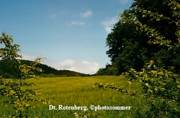 Rotenberg Sd