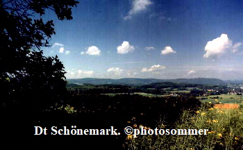 Schnemark103