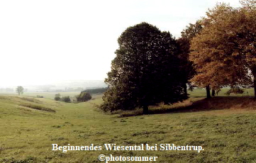 SibbentrupWiesental