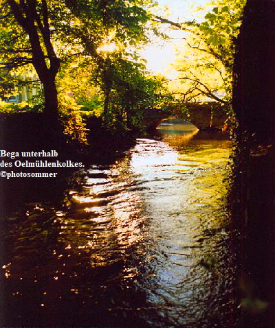 Bega unterhalb 
des Oelmhlenkolkes.
photosommer