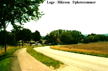 a_Mussen_bei_Lage_Bl_Ri_Horste