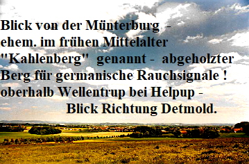 Blick von der Mnterburg  -  
ehem. im frhen Mittelalter 
