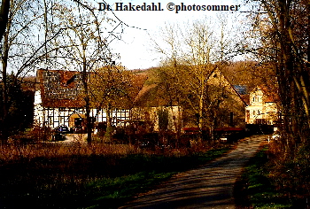 DT Hakedahl