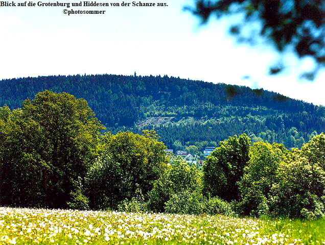 Blick auf die Grotenburg und Hiddesen von der Schanze aus.
photosommer