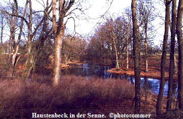 Haustenbeck in der Senne.  photosommer