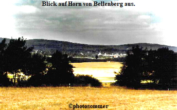 HornVBellenbergAus