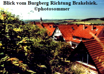 Blick vom Burgberg Richtung Brakelsiek.  
photosommer