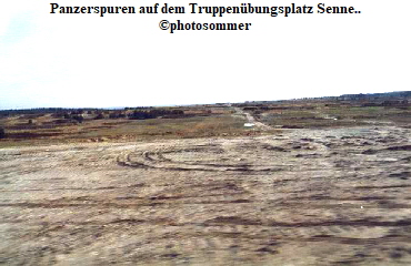 Panzerspuren auf dem Truppenbungsplatz Senne..
photosommer