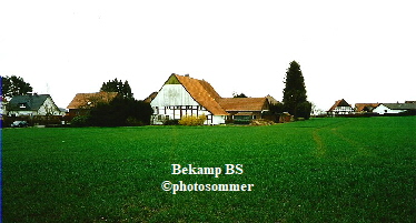 Bekamp BS