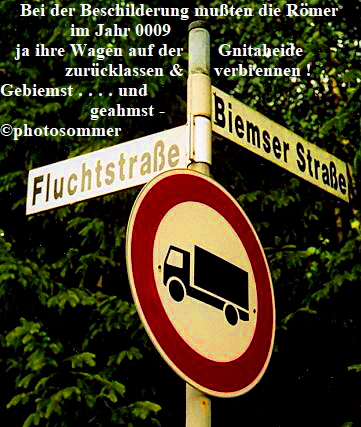 BiemsenFluchtstrasse