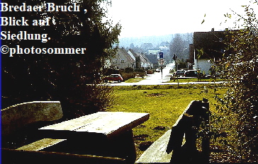 Bredaer Bruch