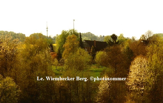 a_LE.Wiembecker_Berg_jpg