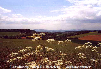 Luerdissen: Blick Ri. Bielefeld.       photosommer