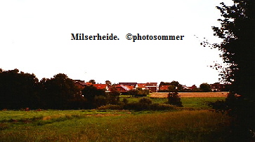 a_Milserheide_bei_Leo