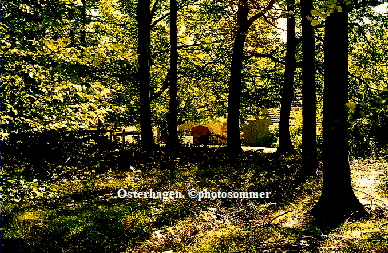 Osterhagen02