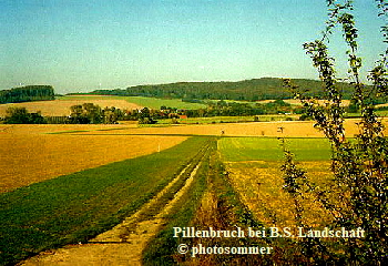 Pillenbruch Landschaft