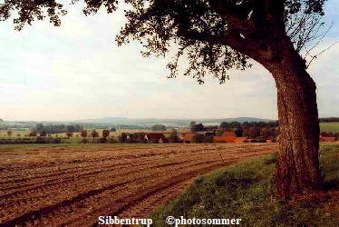 Sibbentrup     photosommer