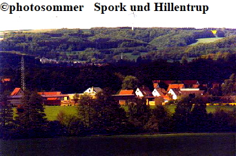 SporkHillentrHomeien02