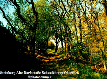 Steinberg Alte Dorfstr. Schwelentrup