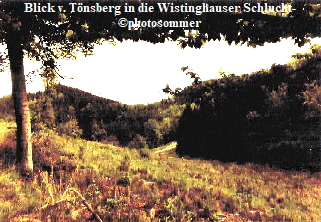 WistinghauserSchlucht302