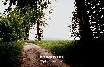 Wsten Pehlen Waldweg