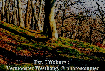 a_Uffoburg_1