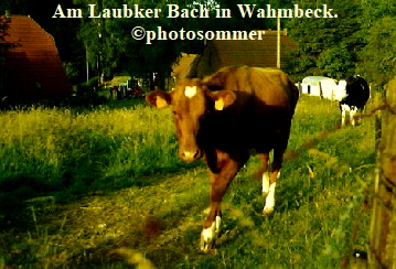 Wahmbeck02