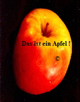 Das ist ein Apfel !

                       
