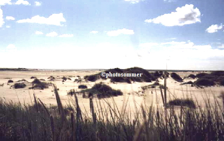 Amrum: Mini-Dnen auf dem Kniepsand.