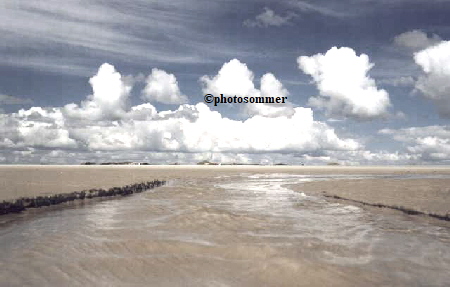 Amrum: Sandpriele auf dem Kniepsand.