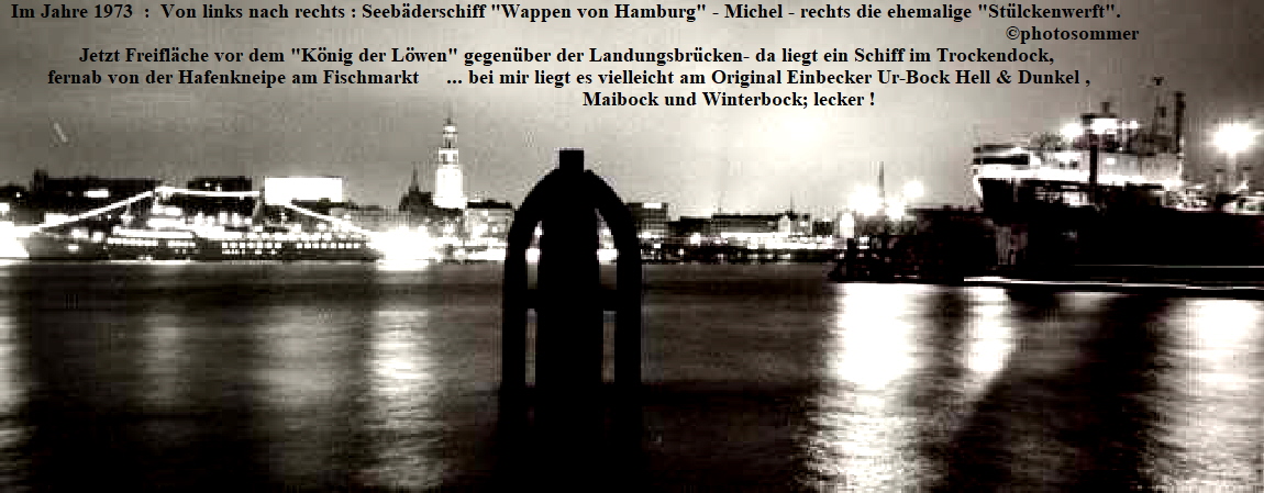 Hamburger Hafen : Von Steinwerder aus Blick auf Landungsbrcken und Michel.