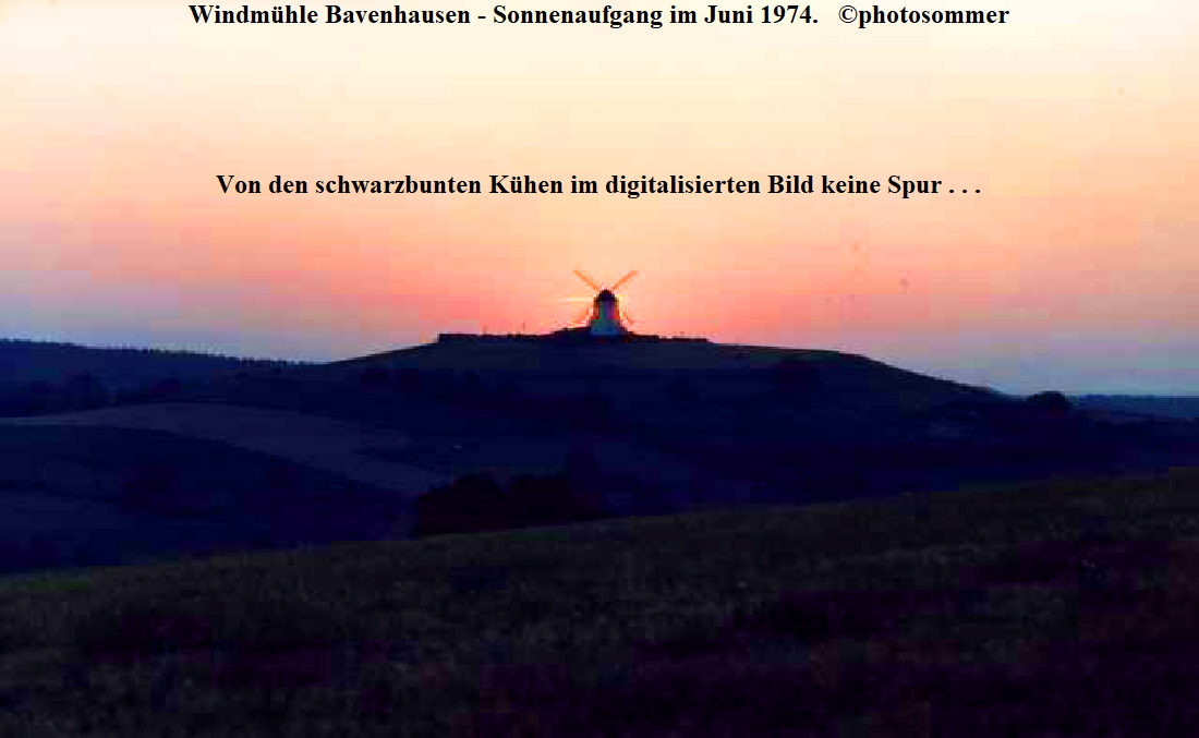 Windmhle Bavenhausen - Sonnenaufgang im Juni 1974.   photosommer





Von den schwarzbunten Khen im digitalisierten Bild keine Spur . . .