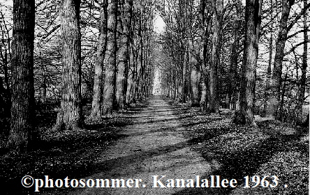 photosommer. Kanalallee 1963 .