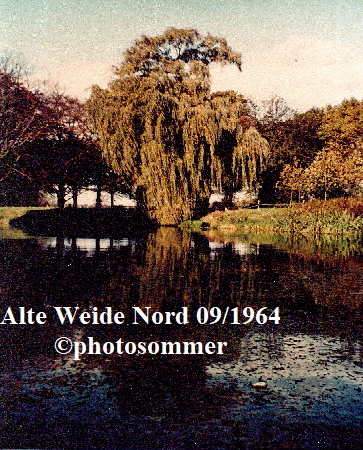 Weide Nord