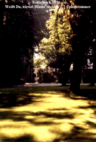 Schlopark 1976 - 
Weit Du, wieviel Bume standen ---? photosommer