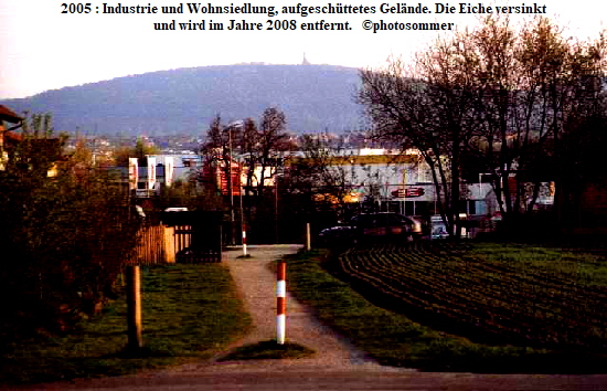 2005 : Industrie und Wohnsiedlung, aufgeschttetes Gelnde. Die Eiche versinkt
und wird im Jahre 2008 entfernt.   photosommer