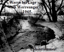 Werre bei Lage
            am Werreanger
                        1965.
                 






                                photosommer