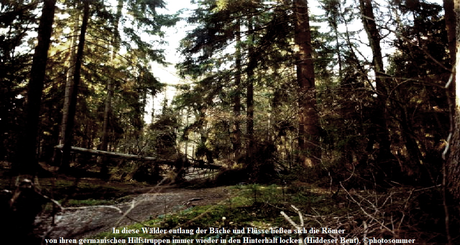 In diese Wlder entlang der Bche und Flsse lieen sich die Rmer 
von ihren germanischen Hilfstruppen immer wieder in den Hinterhalt locken (Hiddeser Bent). photosommer