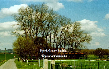 a_La_Sprickernheide_1