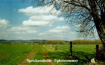 a_La_Sprickernheide_2