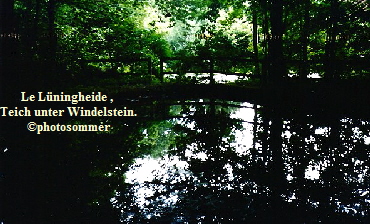 a_Le_Luningheide01_Teich_sudl