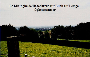 a_Le_Luningheide_03_Blick_auf_Lemgo