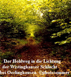 Wistinghauser Schlucht1